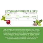Himalayan Organics Plant-Based Magnesium 1360 mg Capsules