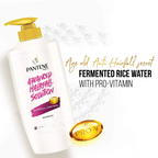 Pantene Advanced Hair Fall Solution | Grocsy