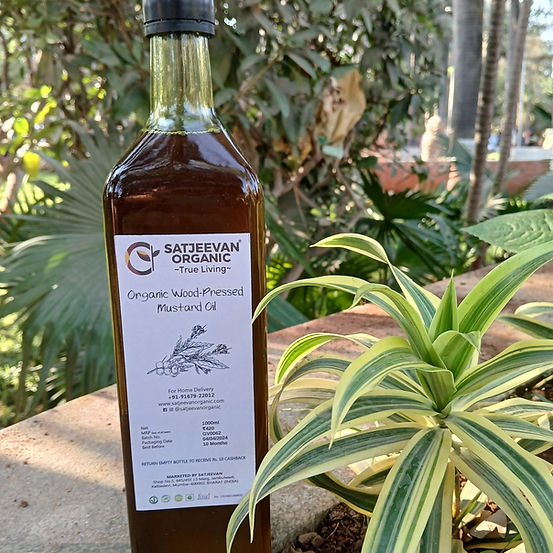 Satjeevan Organic Wood-Pressed Mustard Oil | Grocsy