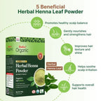 Radico Organic Herbal Henna Powder | Grocsy