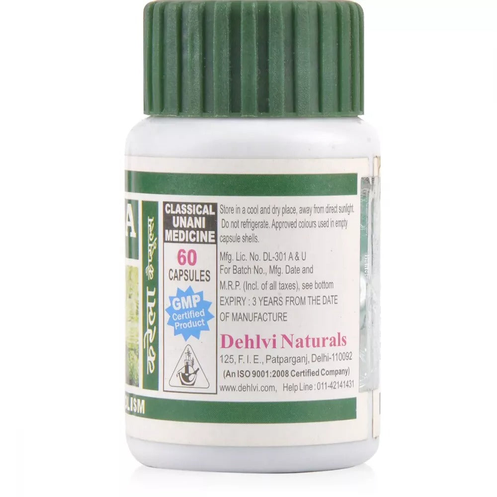 Dehlvi Bitter Melon Karela Capsules | Grocsy