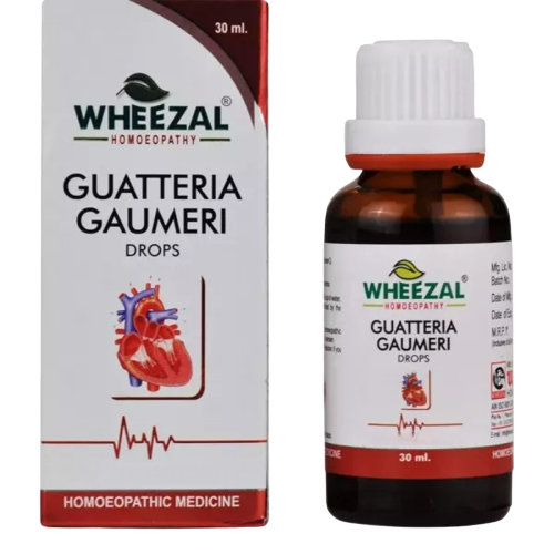 Wheezal Homeopathy Guatteria Gaumeri Drops | Grocsy