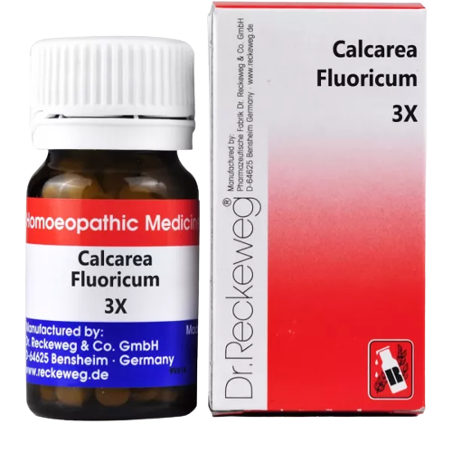 Dr. Reckeweg Calcarea Fluoricum Biochemic Tablets | Grocsy