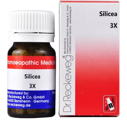 Dr. Reckeweg Silicea Biochemic Tablets | Grocsy