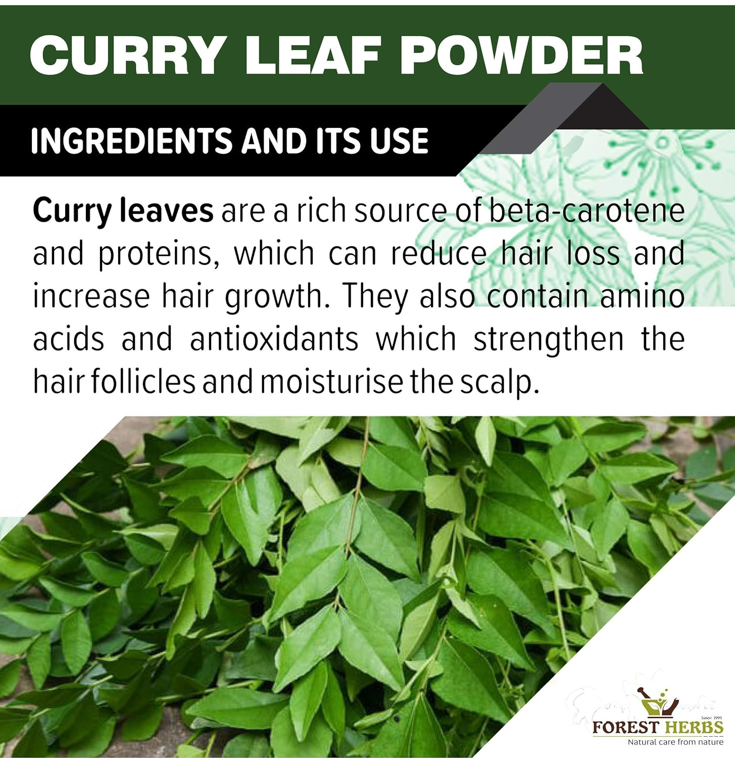 Forest Herbs Curry Leaves Hair Care Powder | Grocsy