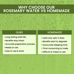 Alps Goodness Rosemary Water for Hair Regrowth | Grocsy