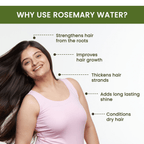 Alps Goodness Rosemary Water for Hair Regrowth | Grocsy