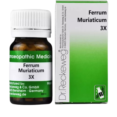 Dr. Reckeweg Ferrum Muriaticum Tablets | Grocsy
