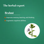 Himalaya Wellness Pure Herbs Brahmi Mind Wellness