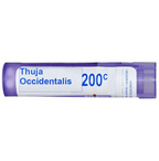 Boiron Homeopathy Thuja Occidentalis | Grocsy