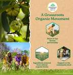 Organic India Garcinia Capsules