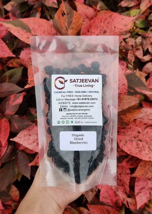 Satjeevan Organic Dried Blueberries | Grocsy