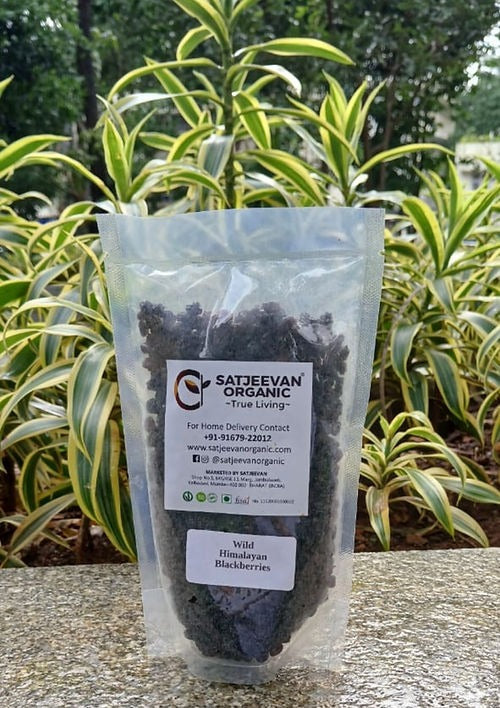 Satjeevan Wild Himalayan Blackberries | Grocsy