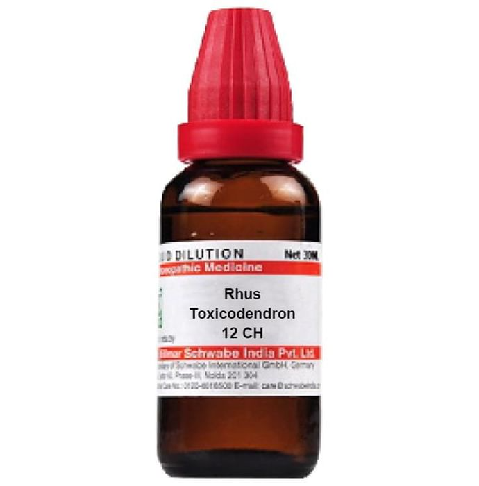 Dr. Willmar Schwabe India Rhus Toxicodendron Dilution | Grocsy