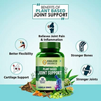 Himalayan Organics Plant Based Joint Support Vegetarian Capsules | Grocsy