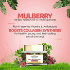 Himalayan Organics Bio Mulberry Face Cream | Grocsy