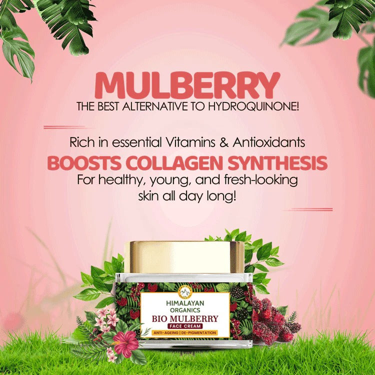 Himalayan Organics Bio Mulberry Face Cream | Grocsy