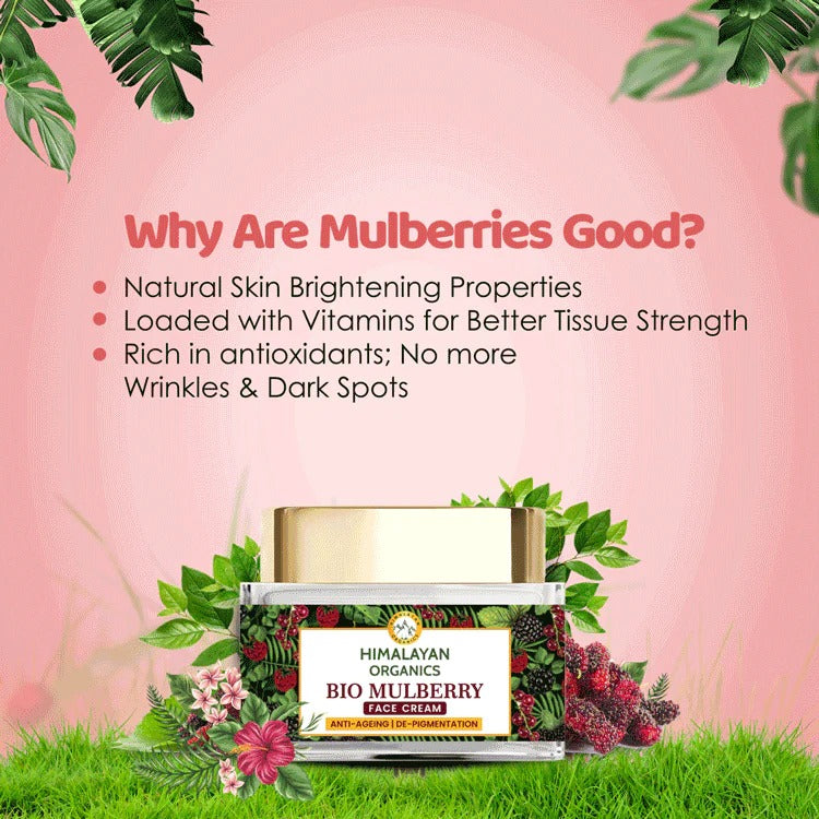 Himalayan Organics Bio Mulberry Face Cream | Grocsy