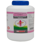 Lord's Homeopathy Phytolacca Berry Tablets | Grocsy