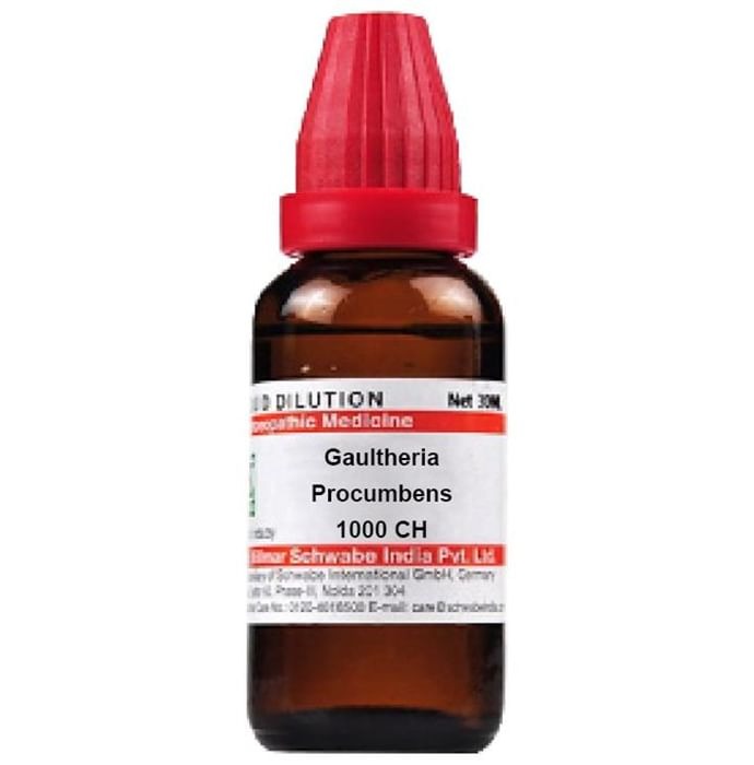 Dr. Willmar Schwabe India Gaultheria Procumbens Dilution | Grocsy