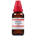 Dr. Willmar Schwabe India Gaultheria Procumbens Dilution | Grocsy