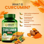 Himalayan Organics Curcumin Tablets | Grocsy