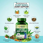 Himalayan Organics Plant Based Joint Support Vegetarian Capsules | Grocsy