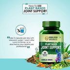 Himalayan Organics Plant Based Joint Support Vegetarian Capsules | Grocsy