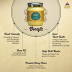 Himalayan Natives A2 Gir Cow Bilona Ghee | Desi Gir Cow Ghee | Premium and Organic Desi Ghee | Grocsy