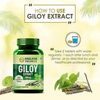 Himalayan Organics Giloy Extract 500 mg Tablets | Grocsy