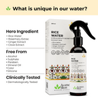 Avimee Herbal Rice Water for Hair and Skin | Grocsy