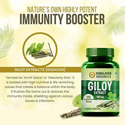 Himalayan Organics Giloy Extract 500 mg Tablets | Grocsy