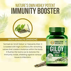 Himalayan Organics Giloy Extract 500 mg Tablets | Grocsy