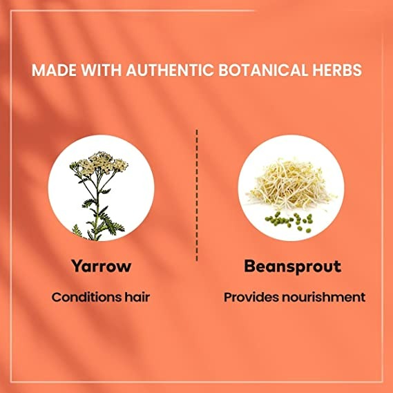 Himalaya Damage Repair Argan Oil Conditioner | Grocsy