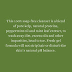 Biotique Bio Sea Kelp Protein Hair & Body Wash 100% Soap Free | Grocsy