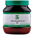 Dr .Willmar Schwabe India Kali Phosphoricum Biochemic Tablet | Grocsy