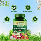 Himalayan Organics Plant Based Iron Supplement + Folate Vegetarian Capsules | Grocsy