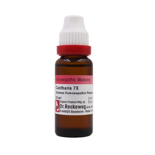 Dr. Reckeweg Cantharis Mother Tincture Q | Grocsy