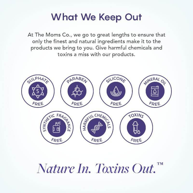 The Moms Co Natural Fruit Lip Balm | Grocsy