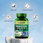 Himalayan Organics Probiotics 35 Billion CFU Prebiotics Vegetarian Capsules | Grocsy