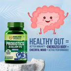 Himalayan Organics Probiotics 35 Billion CFU Prebiotics Vegetarian Capsules | Grocsy