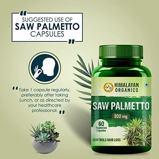 Himalayan Organics Saw Palmetto 800 mg Vegetarian Capsules | Grocsy