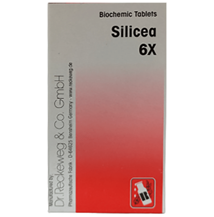 Dr. Reckeweg Silicea Biochemic Tablets | Grocsy