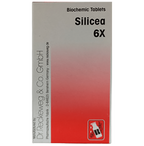 Dr. Reckeweg Silicea Biochemic Tablets | Grocsy
