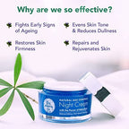 The Moms Co Natural Age Control Night Cream (50 Gm) | Grocsy