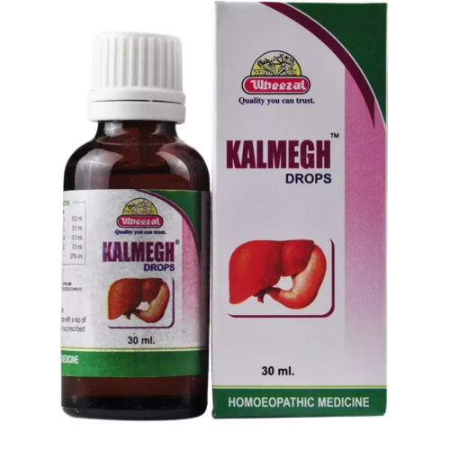 Wheezal Homeopathy Kalmegh Drops | Grocsy
