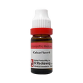 Dr. Reckeweg Calcarea Fluoricum Dilution | Grocsy