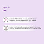 Plum Soft Blend Blush Brush Easy Pick-up 02 | Grocsy