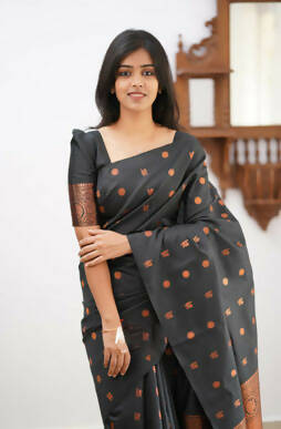 DEIANA'S Beautiful Designer Golden zari Soft Lichi Silk Saree - Black | Grocsy