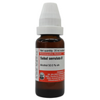 Dr. Willmar Schwabe Germany Sabal Serrulata Mother Tincture Q | Grocsy